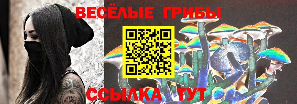 Псилоцибиновые грибы мухоморы  купить закладку  Галлюциногенные грибы MAGIC MUSHROOMS  Дивногорск  Вход с VPN 